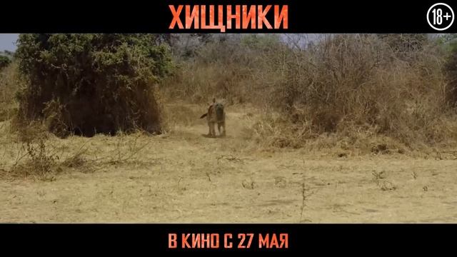 Фильм Хищники - смотреть трейлер на русском 2021 смотреть онлайн