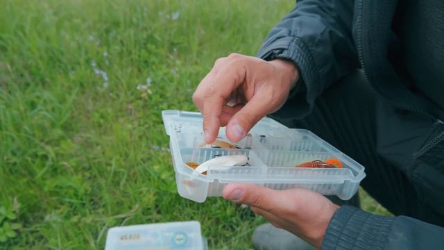 По коробкам с приманками смотреть онлайн