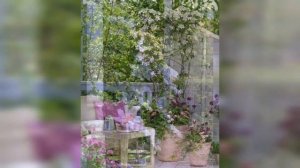 Клематисы в саду Идеи опор для клематисов Красивый сад