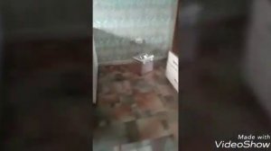 В доме творятся непонятные вещи/вещи сами двигаются/что происходит?
