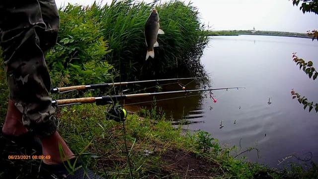 Рыбалка на карасья ,ласка в эфире ,и хороший отдых. смотреть онлайн