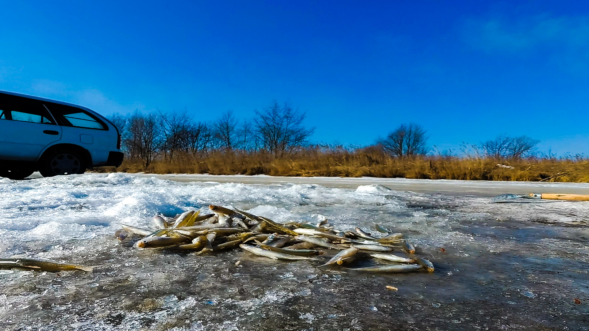 Рыбалка на КОЗЯВКИ не далеко от дома. смотреть онлайн