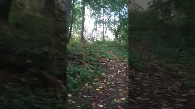 часовня в лесу смотреть онлайн