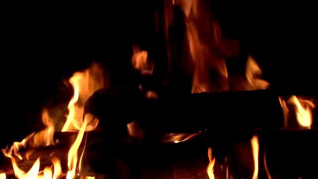 Как обрести мужество и что такое храбрость жизненный рассказ