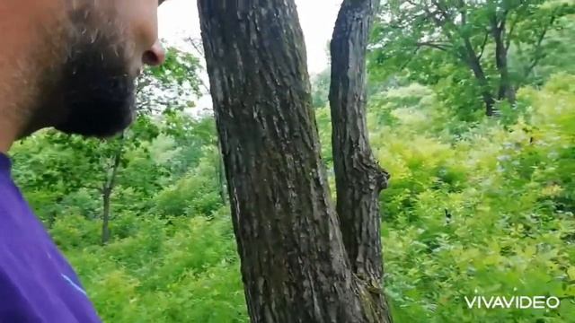 Купили участок земли, первый выезд для планирования, межевание, анализ флоры по местности смотреть онлайн