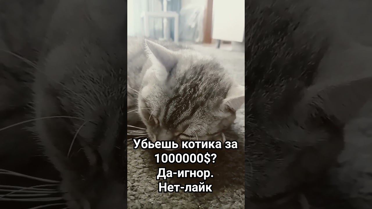 18 апреля 2024 г. смотреть онлайн