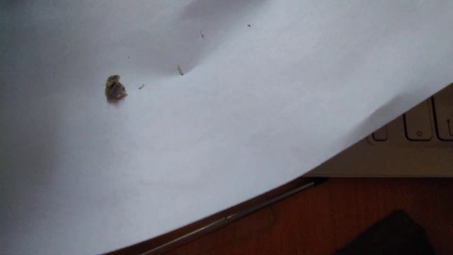 Определение минерала26 смотреть онлайн