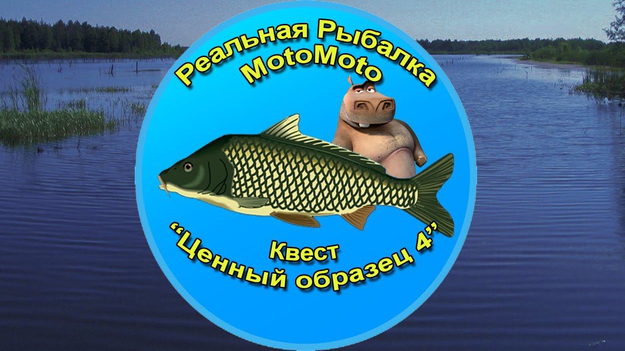 Квест "Ценный образец 4" [NEW] | Реальная Рыбалка смотреть онлайн