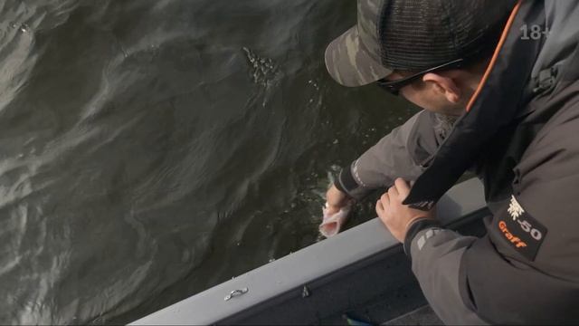 ТРОФЕЙНЫЕ СУДАКИ/МАКСИМ АРЕСТОВ/РЫБАЛКА/БОЛЬШОЕ ИНТЕРВЬЮ/ПОБЕДИТЕЛЬ PAL 2021/КОНКУРС смотреть онлайн