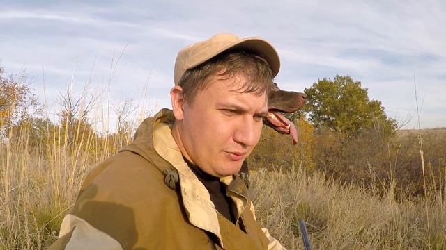 #8 Ходовая Охота Осенью в Поле. Охота на Серую Куропатку с Курцхааром МР 153 смотреть онлайн