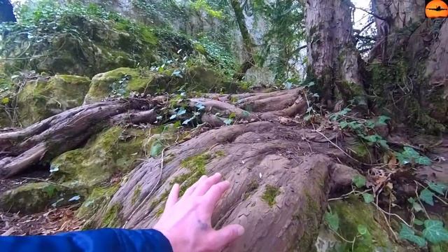 Алимова балка - одно из самых мистических мест в Крыму