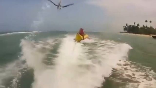 Sharktopus Vs Pteracuda / Music Video смотреть онлайн