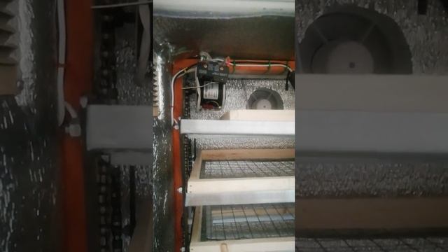 Самодельный инкубатор из холодильника. смотреть онлайн