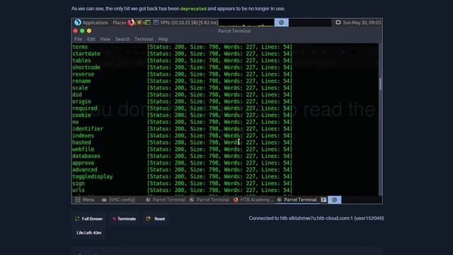 Using what you learned in this section, run a parameter fuzzing scan on this page. what is the смотреть онлайн