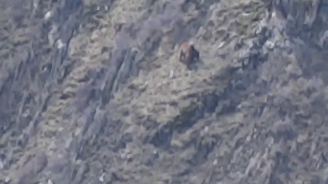 Республика Дагестан Цунтинский район село Хутрах#горы#цунта#2023г смотреть онлайн