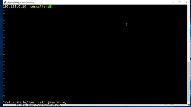 Using Pi Hole as local LAN DNS Server смотреть онлайн