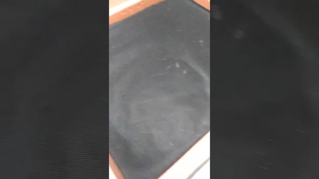 Работа над ошибками. (разведение червя дендробена)