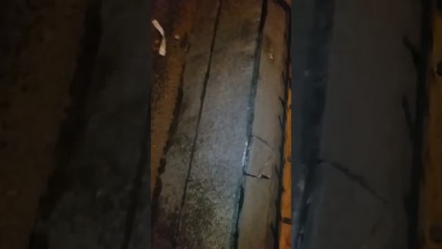 Первая встреча с мышкой