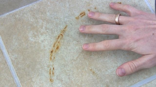 Rostflecken auf Stein & Fliesen Entfernen ✅ ULTIMATIVE ANLEITUNG: Wie Rost von Beton Beseitigen???