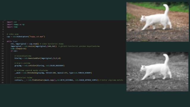 Görüntü İşleme ile Evcil Hayvan Videosundan Duygu Durumu Belirlenmesi смотреть онлайн