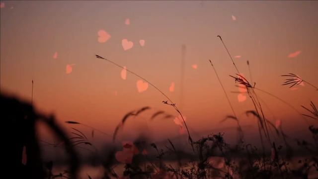 "Там, где клён шумит". Елена Бажанова. смотреть онлайн