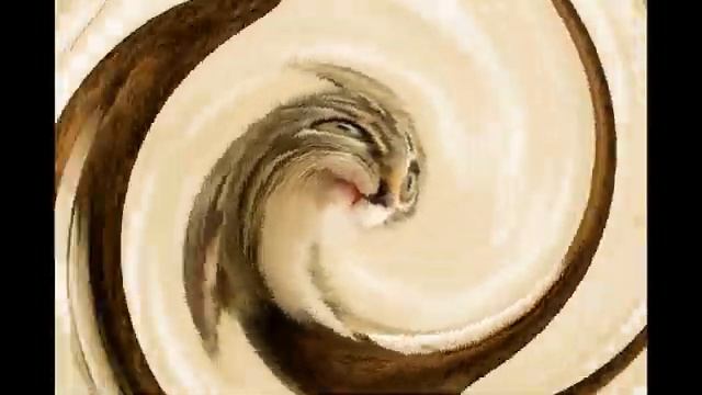 Колыбельная для котят и кошек смотреть онлайн