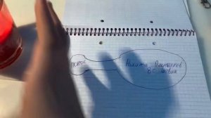 Порча на понос!! Как сделать?