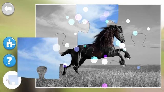 Wild horses & ponies jigsaw puzzles for kids & toddlers смотреть онлайн