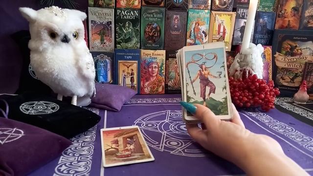 25 ноября 2021года. Карта дня ✌ смотреть онлайн