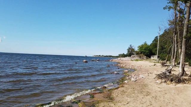 Западный Котлин летним днем смотреть онлайн