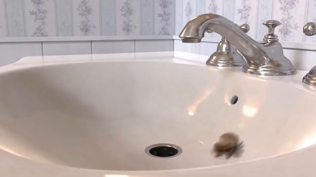 Лукас Паук . Мультик. смотреть онлайн