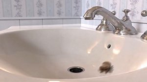 Лукас  Паук . Мультик.