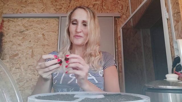 Материнская Изысканность