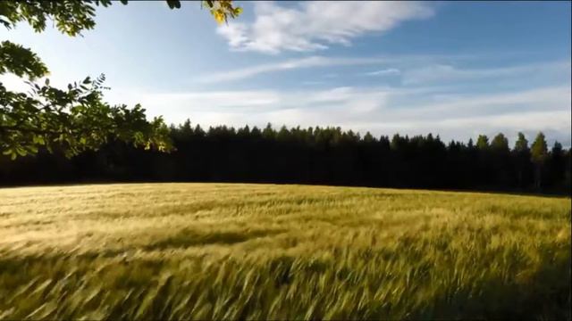 Гармонь смотреть онлайн