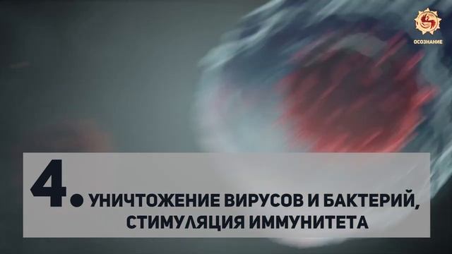 ВРАЧЕЙ ЗАСТАВИЛИ ЭТО ЗАБЫТЬ_? ПИХТА - 9 уникальных целебных свойств