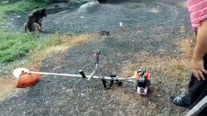 Лучший диск для триммера.