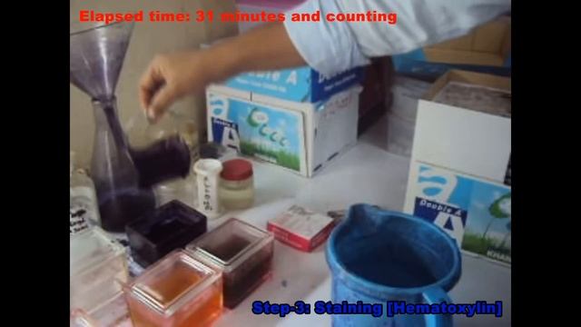 Hematoxylin & Eosin staining смотреть онлайн