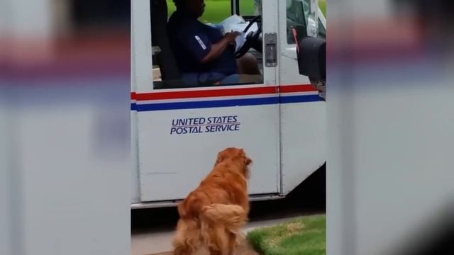 Она Зря Это Сделала, Случаи С Животными, Которые Удалось Снять На Камеру смотреть онлайн