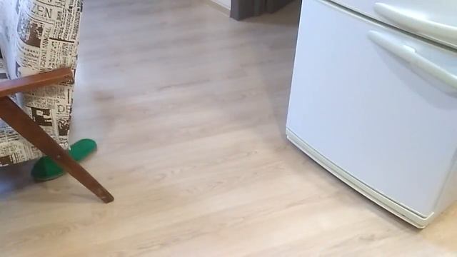 Французский бульдог и суп-пюре