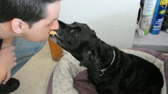 Все что угодно за сыр смотреть онлайн