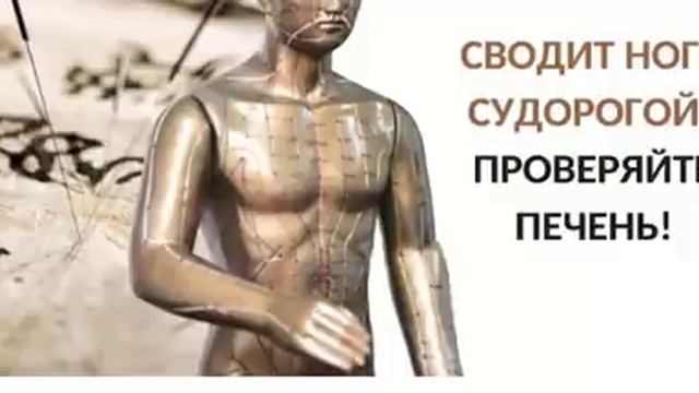 Сводит ноги судорогой. Нужно проверить печень. И вот почему смотреть онлайн