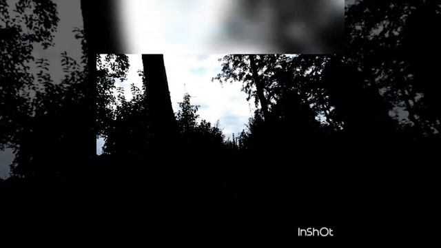 Озеро еловое, чистая вода, отдых супер смотреть онлайн