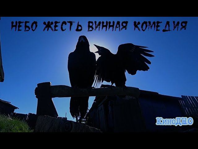 НЕБО ЖЕСТЬ. ВИННАЯ КОМЕДИЯ про улыбку Шредингера, дыры сыра и чапаевский вопрос. смотреть онлайн