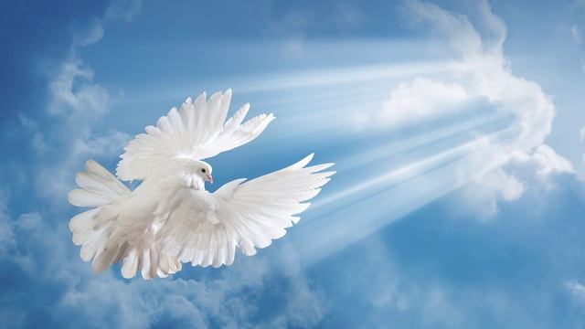 Алексей Мандельштам - Стань птицей (Белая птица)