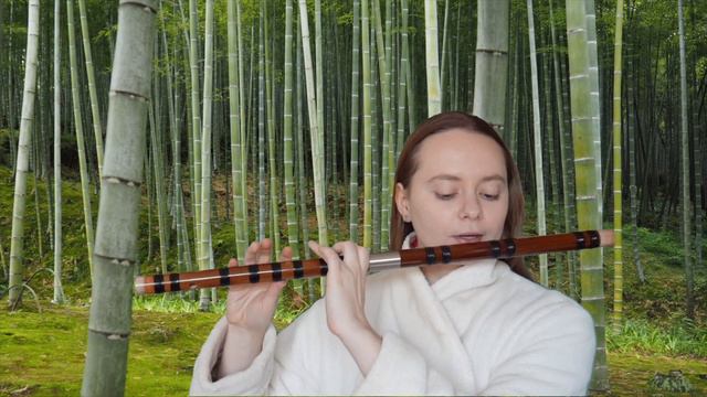Ninjago Overture (Chinese Flute Dizi Cover) смотреть онлайн