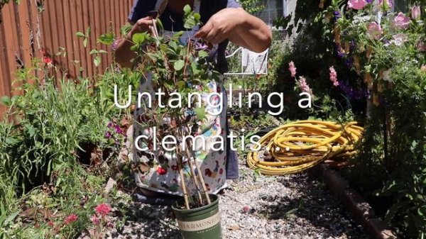 Garden Tour | Cutting Garden | Cottage Garden