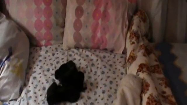 Ксюхины дети смотреть онлайн