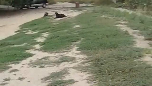 Тихая заводь  Выдержка у воды