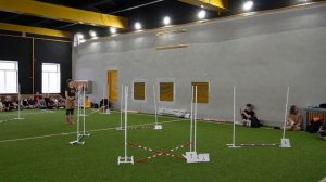 Соревнования по хоббихорсингу