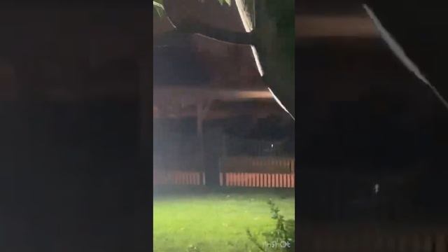 Динозавр парк в дубае смотреть онлайн